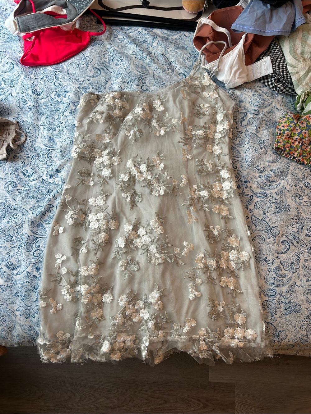 Lucy in the Sky Champagne Floral Embroidered Mini Dress